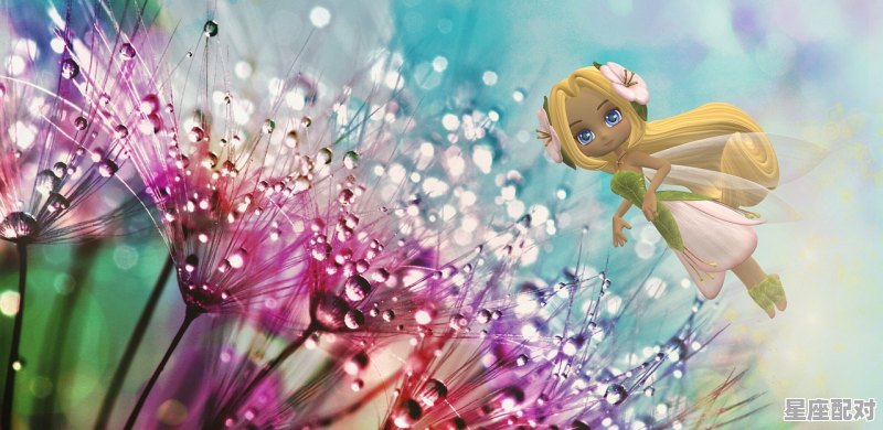 狮子座男跟水瓶座女，魔蝎座女哪个更适合_狮子男巨蟹女为啥是绝配 - 星座运势