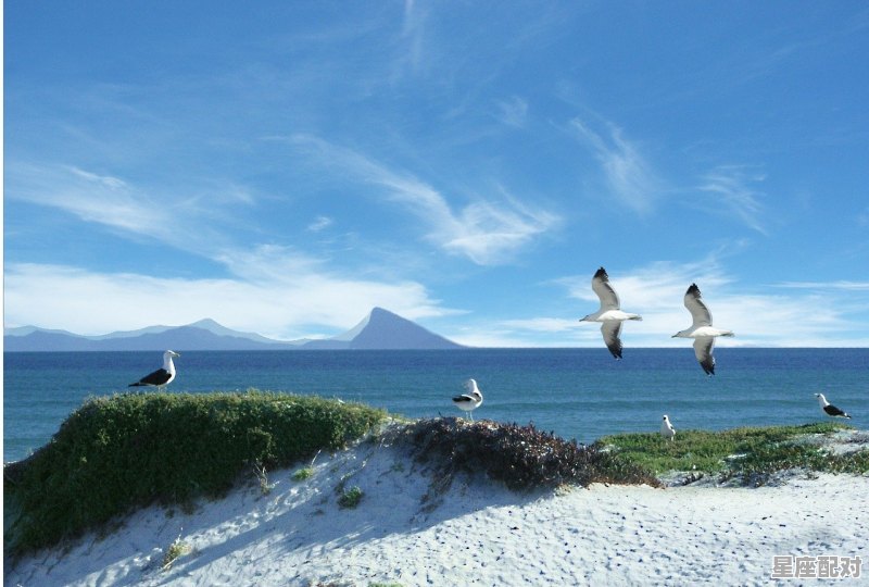 太阳水瓶月亮金牛上升天秤的性格特点_一月二十号的水瓶座上升星座是什么 太阳水瓶月亮金牛上升天秤的性格特点_一月二十号的水瓶座上升星座是什么 - 星座运势