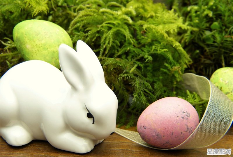 87年属相是什么_七几年属相兔 87年属相是什么_七几年属相兔 - 星座运势