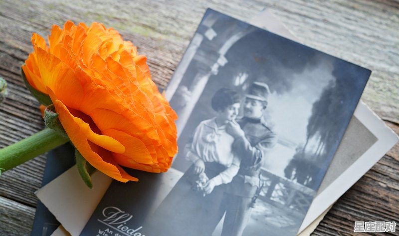 63年兔买彩票能中大奖吗,今日运势 属兔 63年兔买彩票能中大奖吗,今日运势 属兔 - 星座运势