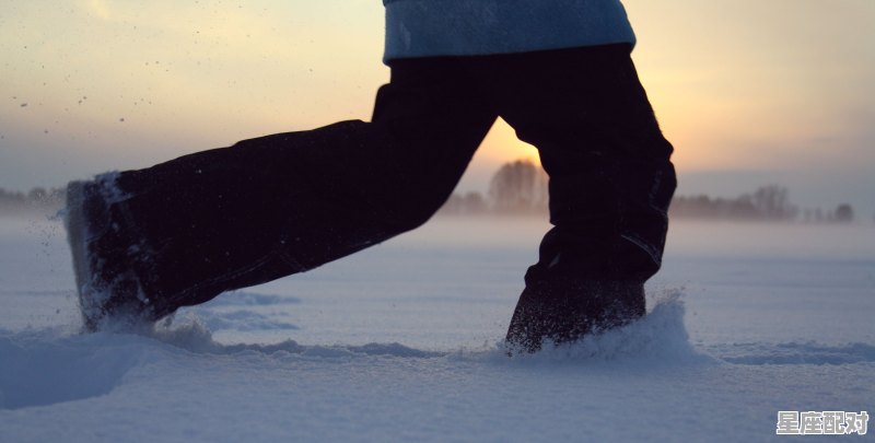 一生驾步跑意思,驾什么生肖 一生驾步跑意思,驾什么生肖 - 星座运势