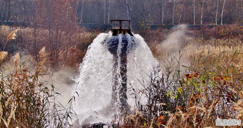 戊戌与戊辰的区别,水库是什么生肖 戊戌与戊辰的区别,水库是什么生肖 - 星座运势