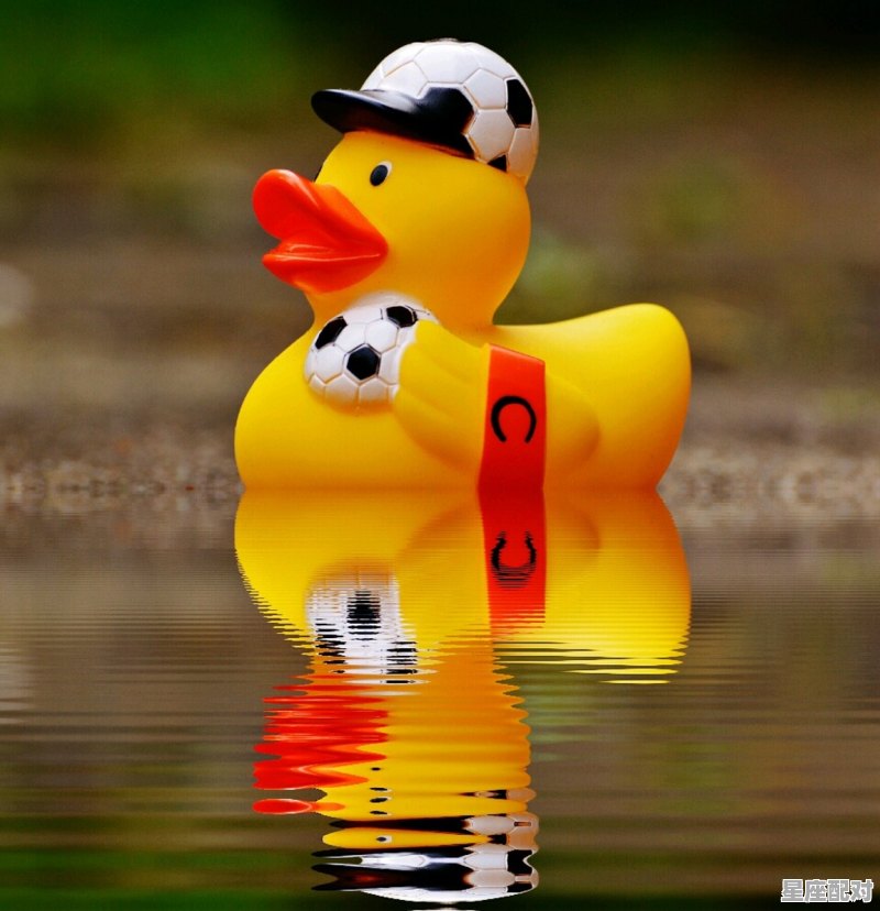 金牛偏双子什么意思_金牛双子座女生性格 金牛偏双子什么意思_金牛双子座女生性格 - 星座运势