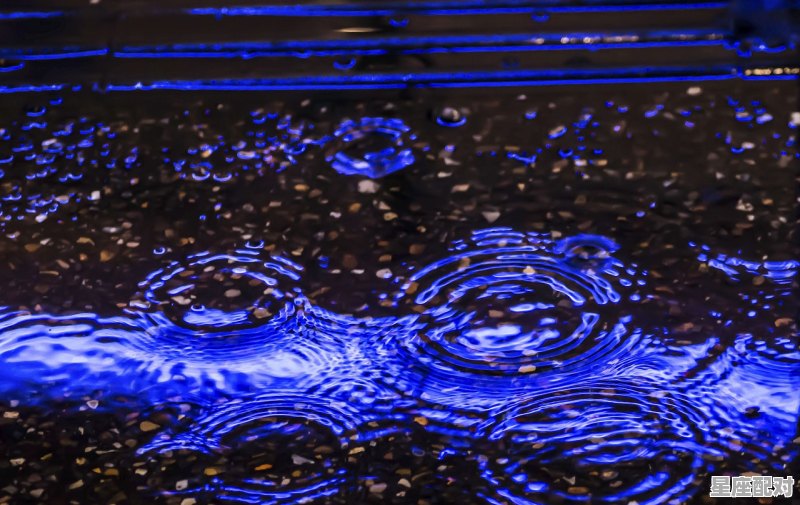 春江夜雨打一动物，夜雨指什么生肖 - 星座运势