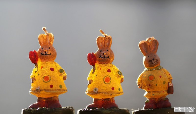 今年犯太岁的属相是哪几个,马今日生肖运势 - 星座运势