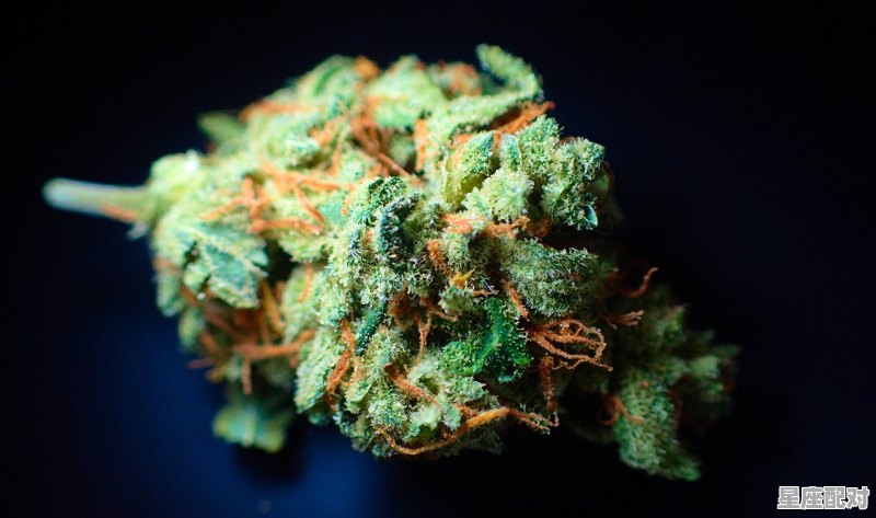 端午洗龙须水什么意思,洗草药水是端午的习俗吗 - 星座运势