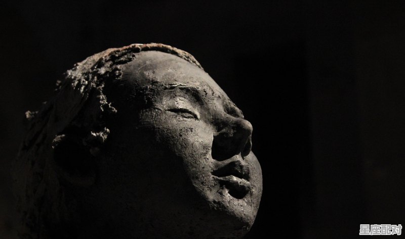 属猪的名人有哪些历史上属猪的名人_樊少皇的资料 - 星座运势