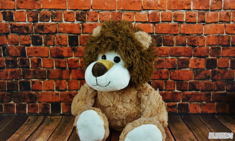 21点到23点生是什么座,双子座亥时出生的女人性格 - 星座运势