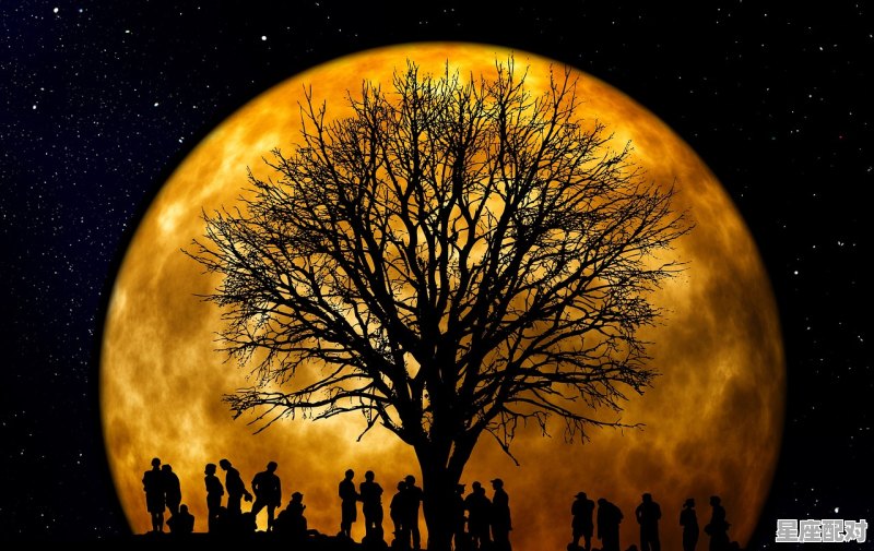 中秋节是中国的四大传统节日之一。，古代清明节的传统习俗拜月 - 星座运势