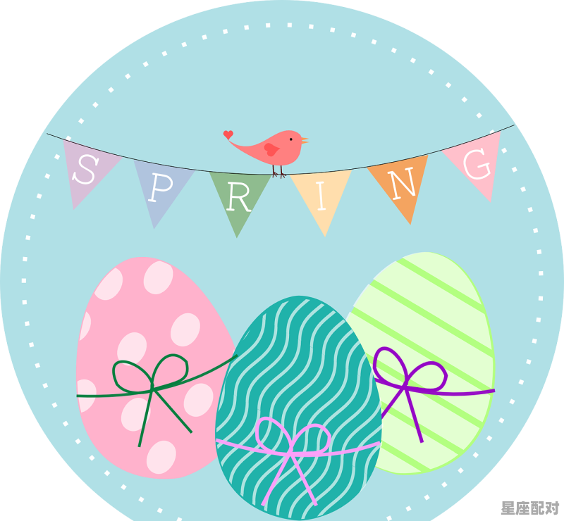 鸡今日运势2019,鸡今日运势2019 - 星座运势