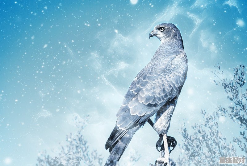 雪十郎原名叫什么，五郎属什么生肖 - 星座运势