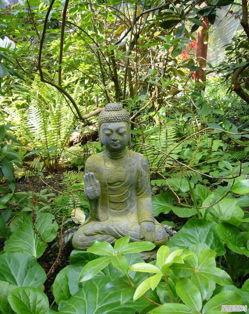 铝塑板的颜色一般有哪些颜色_佛掌蕨是国家保护植物吗 - 星座运势