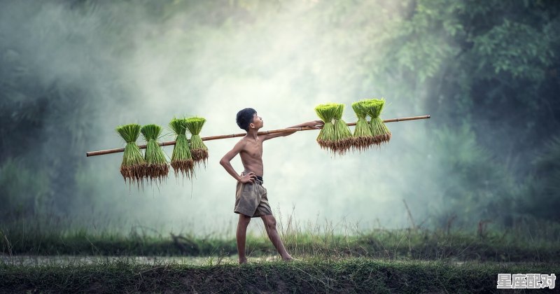 嘉凯影城有下雪场吗,农历829是什么星座 - 星座运势