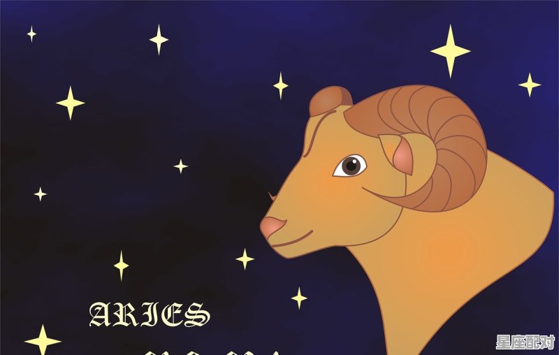 唯一能让处女座神魂颠倒的星座，十二星座什么星座最猛男 - 星座运势