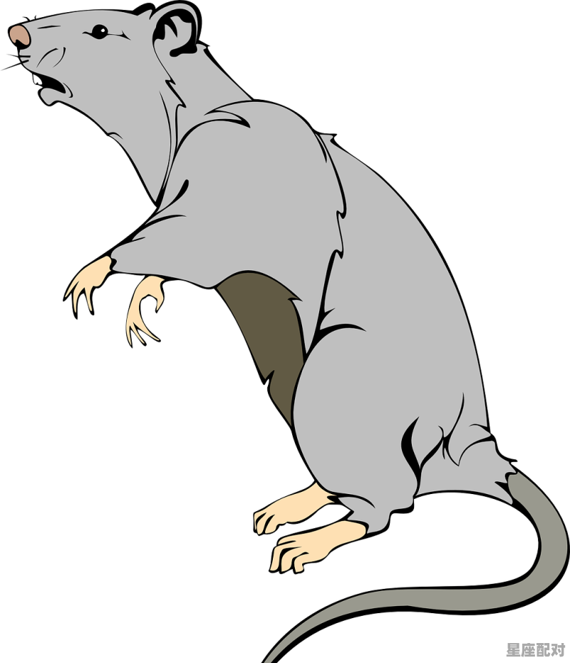 什么动物可以代表小偷,家中偷吃物是什么生肖 - 星座运势