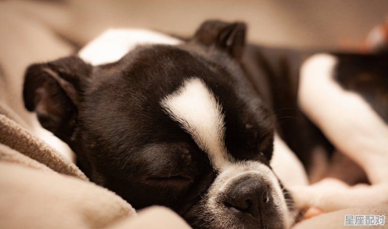 发现自己亲姐姐出轨了怎么办，梦到姐姐出轨 - 星座运势