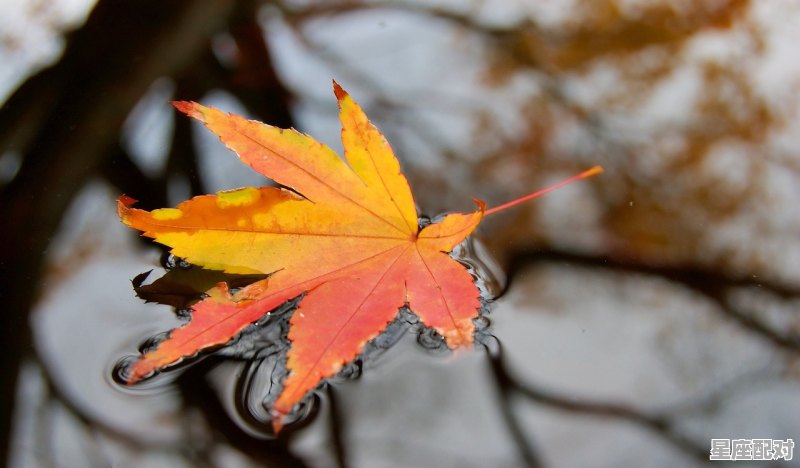 秋天绿意的古诗意境,做梦梦到美景 - 星座运势