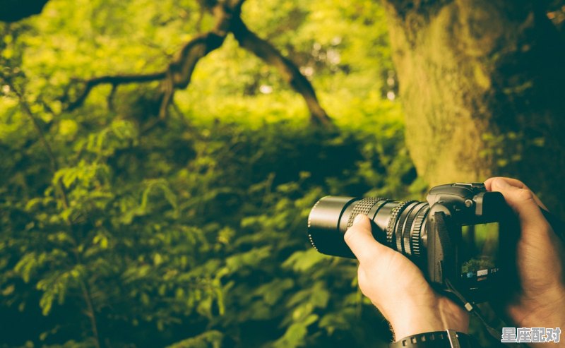 天蝎男和双子女复合的几率大吗_天蝎与双子其实是绝配 - 星座运势