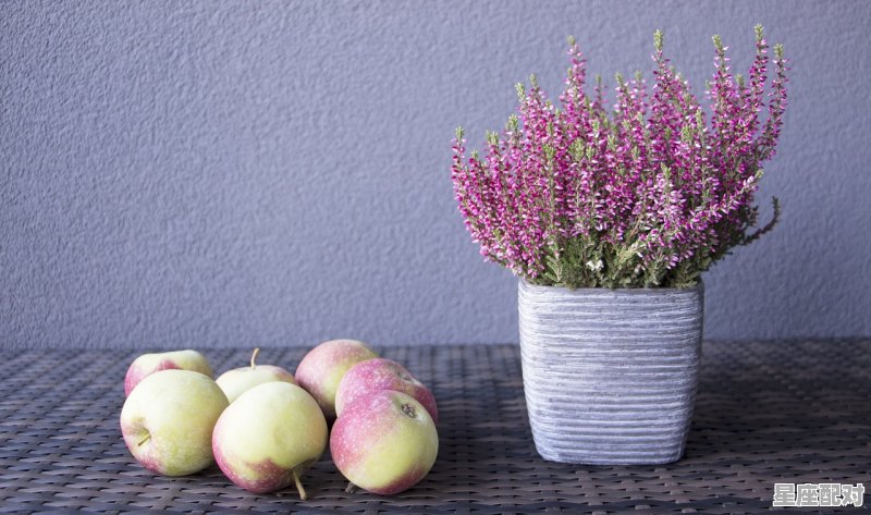 孕妇花牛苹果能吃,怀孕梦到吃苹果 - 星座运势