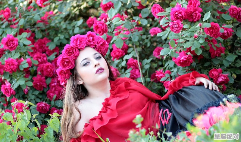 美人如玉剑如虹，是什么意思，丽如虹是什么生肖 - 星座运势