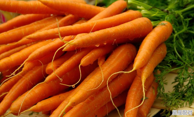 胡萝卜代表寓意_为什么温州人过年菜上放胡萝卜 - 星座运势