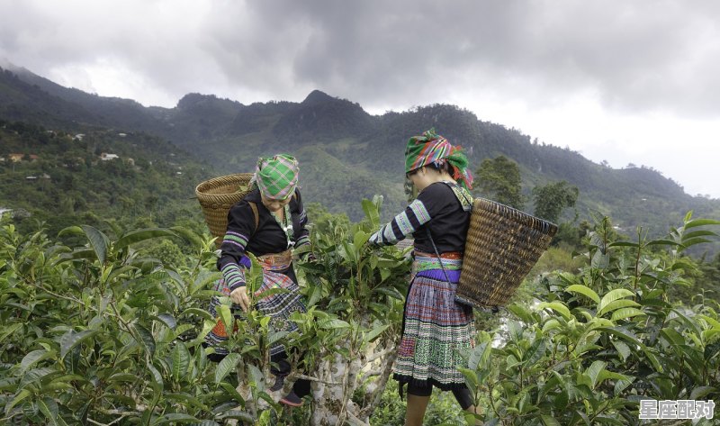 少数民族有哪些风俗习惯,少数民族保持生活习俗 - 星座运势