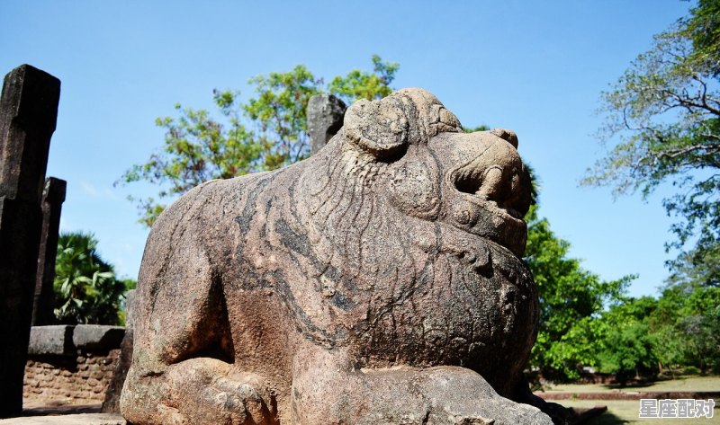 老虎古代叫什么名字,山王之王是什么生肖 老虎古代叫什么名字,山王之王是什么生肖 - 星座运势