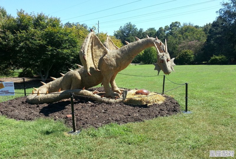 1976年生人2022多少岁,生肖2022龙今日运势 - 星座运势