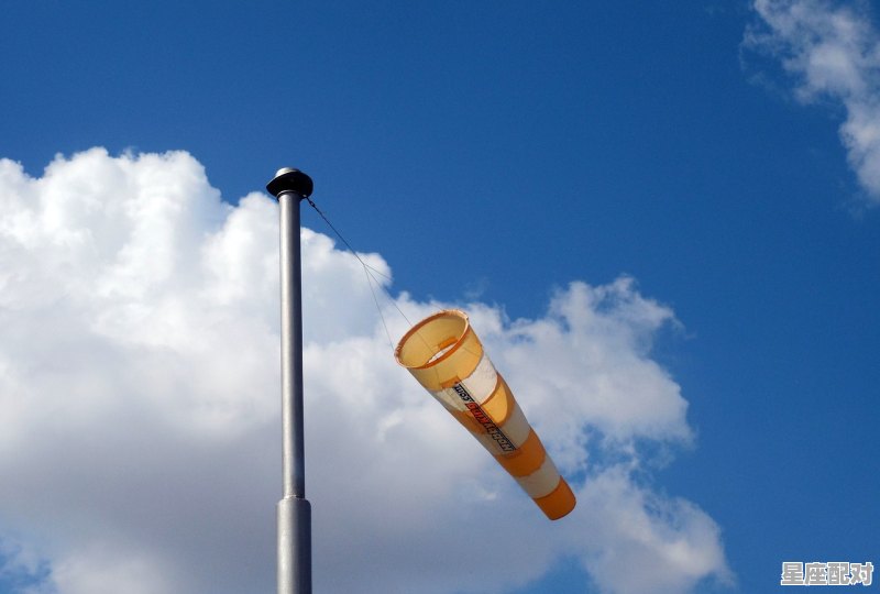 星座风象怎么分，风向星座与土向星座配对指数一样吗 - 星座运势