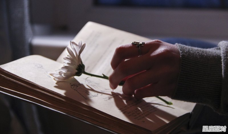 1984年端午节是什么星座,1984.3.4什么星座 - 星座运势