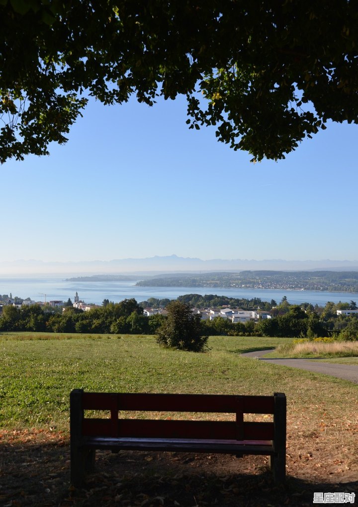 送白菜的寓意,梦到什么对 - 星座运势
