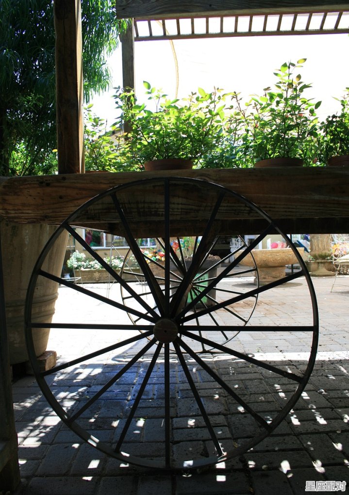 做梦梦到灭火,做梦梦到灭火 做梦梦到灭火,做梦梦到灭火 - 星座运势