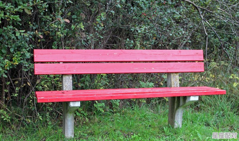 后背疼是不是有仙家在身上，梦到背我 - 星座运势