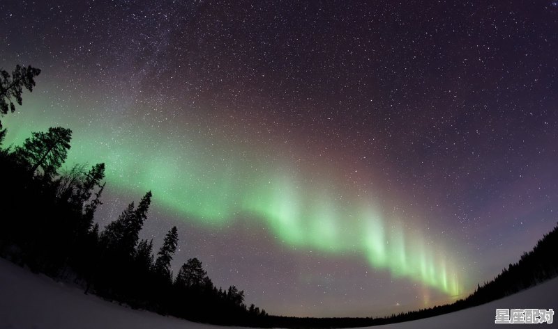 天蝎座真的不能爱上狮子座吗/,和狮子座水火不容的星座配对是什么 天蝎座真的不能爱上狮子座吗/,和狮子座水火不容的星座配对是什么 - 星座运势