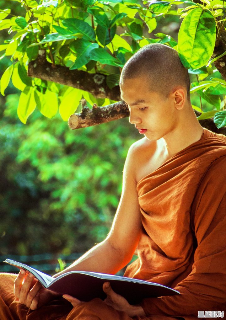张三丰出生在那个朝代，张三丰属什么生肖的 - 星座运势