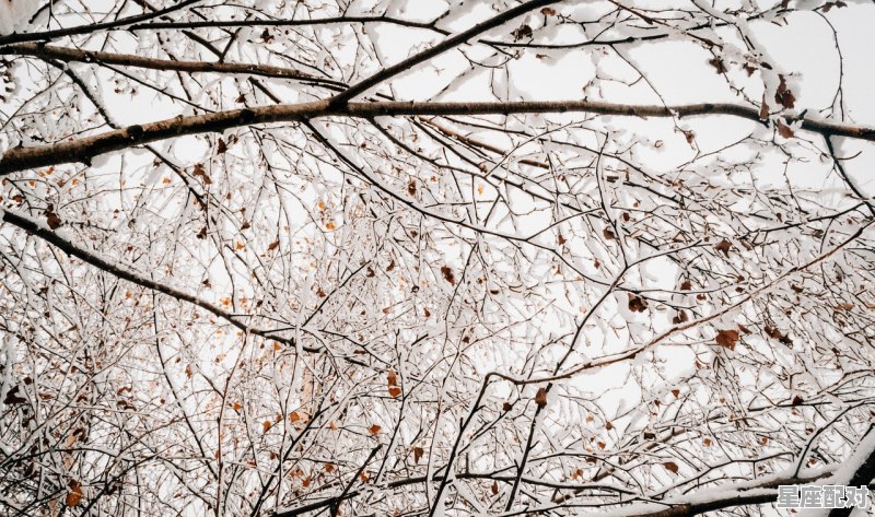 24节气之小寒,小寒节气的来历和习俗 - 星座运势