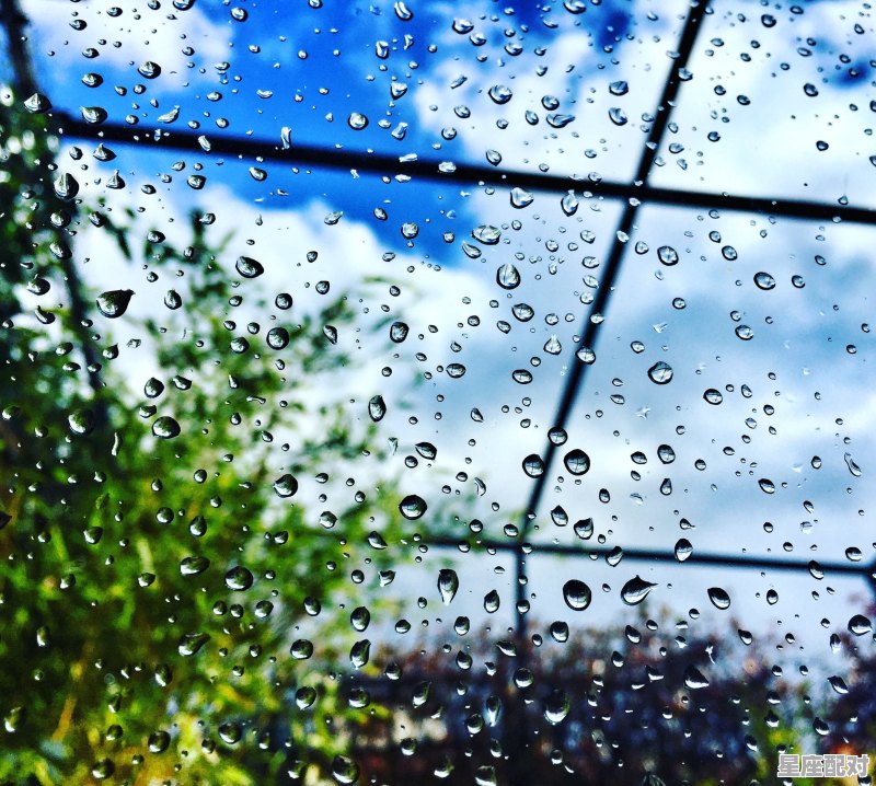 两次立春有什么讲究,立春节气的习俗和讲究 - 星座运势