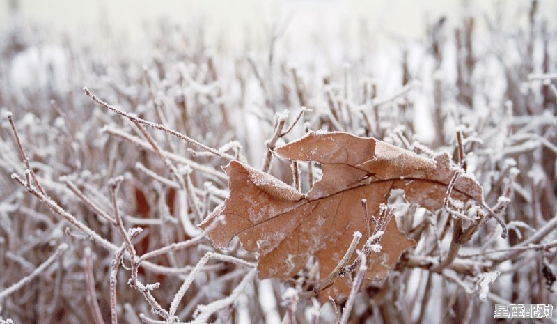 大寒节气的特点和风俗_大寒天气有什么说法 - 星座运势