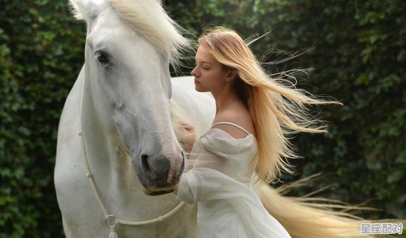 成语什么车白马，丹书白马是什么生肖 - 星座运势