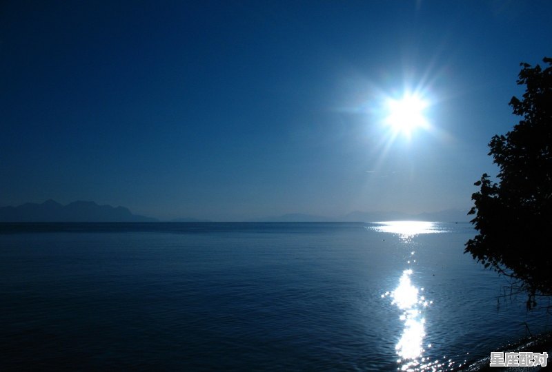 适合游泳发的文案,梦到自己在水里游泳 适合游泳发的文案,梦到自己在水里游泳 - 星座运势