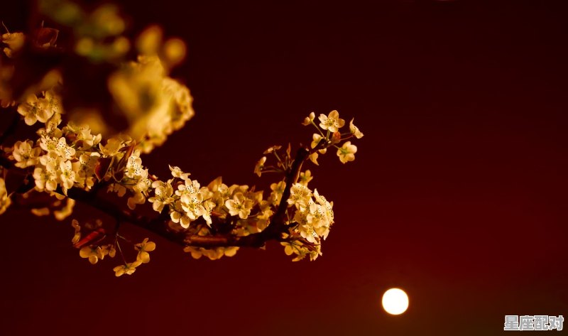 七夕节习俗是什么,中国七夕节有哪些习俗 七夕节习俗是什么,中国七夕节有哪些习俗 - 星座运势