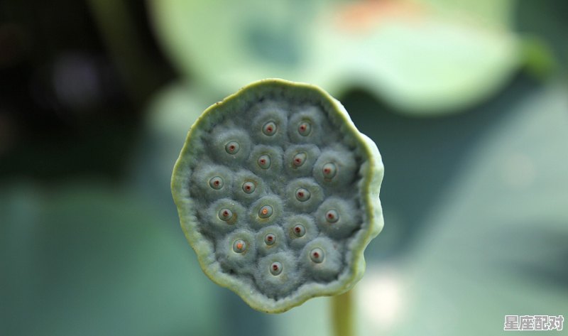 5月出生的双子女性格_五月双子和六月双子的不同 - 星座运势