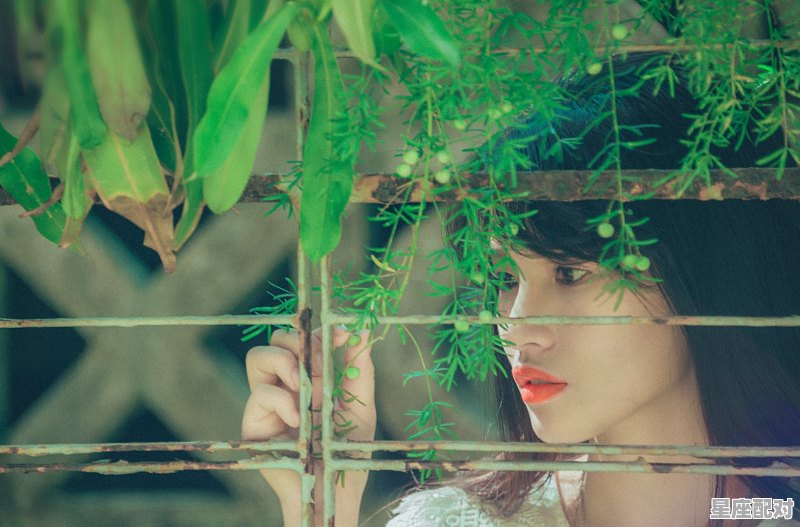 天蝎座的女人什么性格，天蝎座女的性格是什么样子 - 星座运势