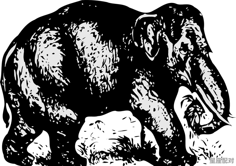 诡蛇漫画别名叫什么，梦到两条大黑蛇 - 星座运势