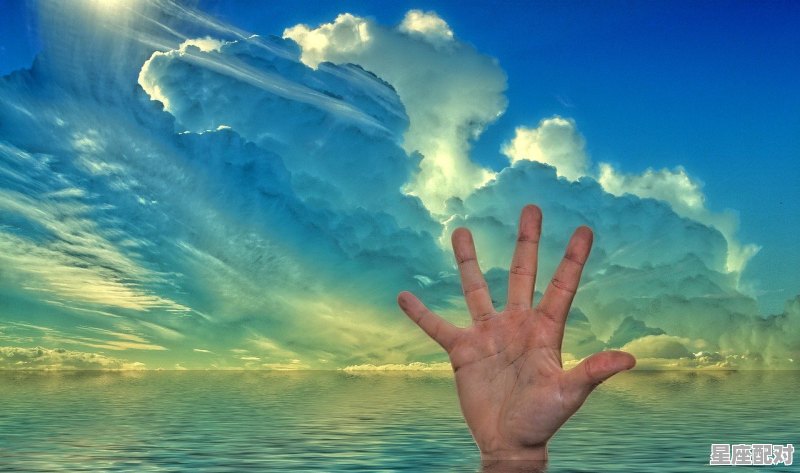 求仙剑三外传问情篇里的所有诗词，梦到蛇尾 - 星座运势