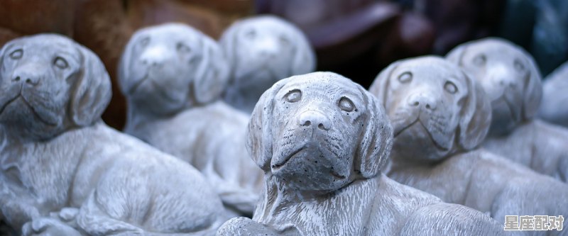 蛇鼠一窝犬当道，旁门左道四海纵的动物.《打一个肖》_怎样对待小人得志的人 - 星座运势
