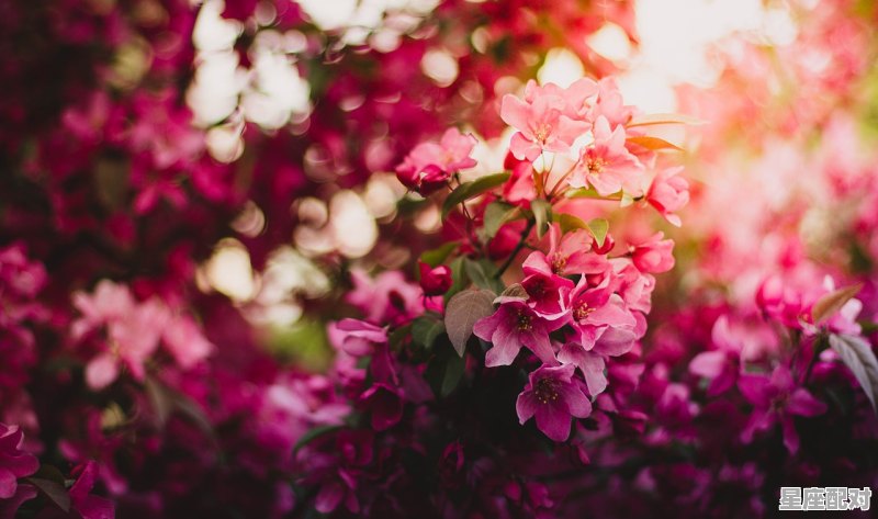 天蝎女双子男为啥是绝配,双子男和天蝎女星座配对指数是多少 天蝎女双子男为啥是绝配,双子男和天蝎女星座配对指数是多少 - 星座运势