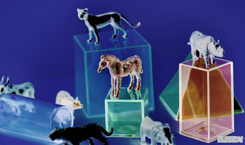 汪汪队每个人代表的星座_12星座分别是汪汪队的哪一个人物 汪汪队每个人代表的星座_12星座分别是汪汪队的哪一个人物 - 星座运势