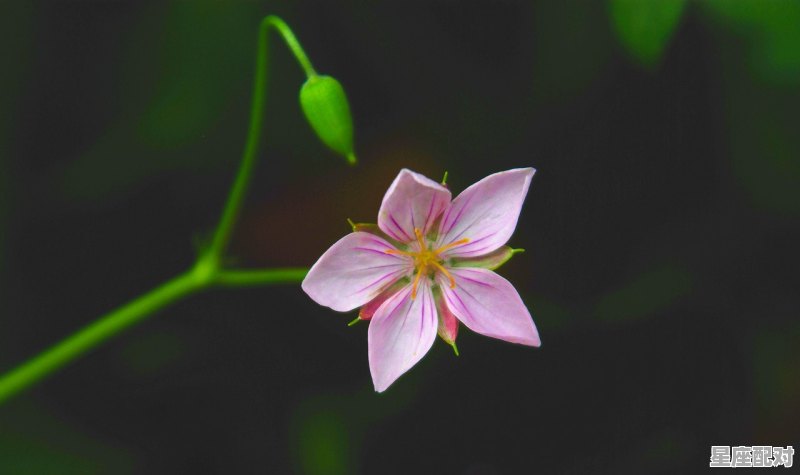 天蝎今日运势座2020,天蝎今日运势座2020 天蝎今日运势座2020,天蝎今日运势座2020 - 星座运势