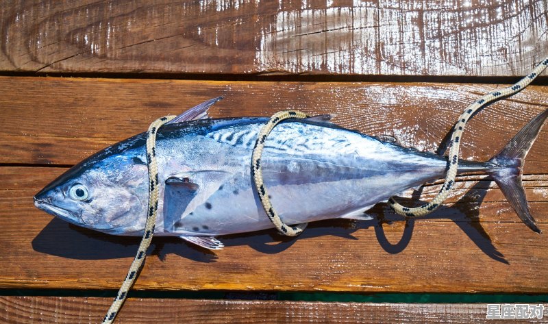 双鱼天秤为什么绝配_为什么天秤被双鱼拿捏得死死的 双鱼天秤为什么绝配_为什么天秤被双鱼拿捏得死死的 - 星座运势